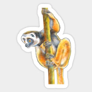 Lemur Sticker